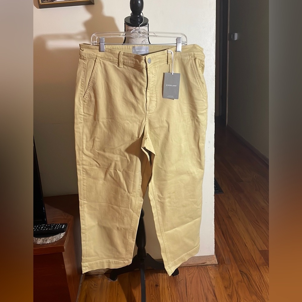 NWT Everlane Green Cropped Jeans